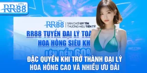 Đặc quyền khi trở thành đại lý hoa hồng cao và nhiều ưu đãi