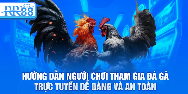 Đá Gà RR88 - Môn Truyền Thống Và Những Chiến Kê Huyền Thoại 3 Hướng dẫn người chơi tham gia đá gà trực tuyến dễ dàng và an toàn